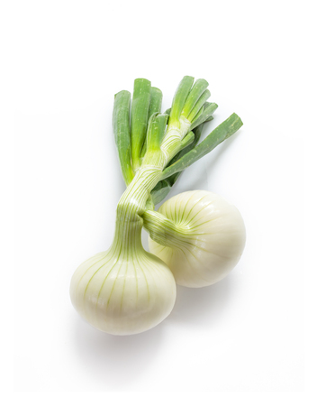 Green spring onion on white background.の写真素材