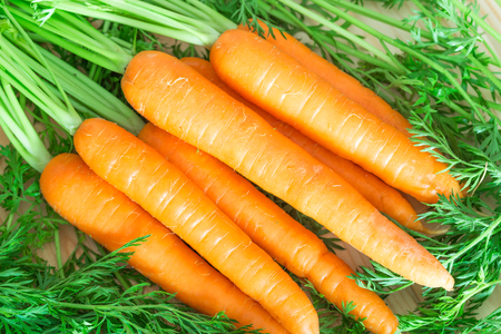 Fresh and sweet carrots on wooden table.の写真素材