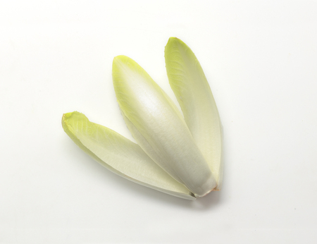 Fresh belgian endive isolated on white background.の写真素材