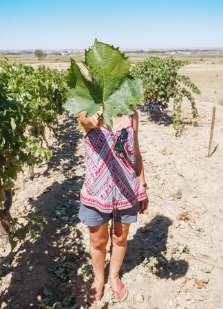 Woman Holding a vine leaf in Front of Her Faceの写真素材