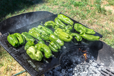 Green peppers grilling on the barbecue. Barbecue time in the nature.の写真素材
