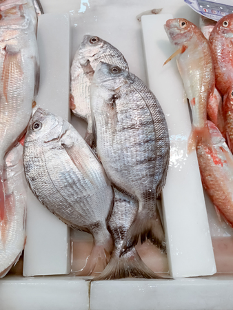 Fresh raw fish in the market at Isla Cristina, Huelva, Spain.の写真素材