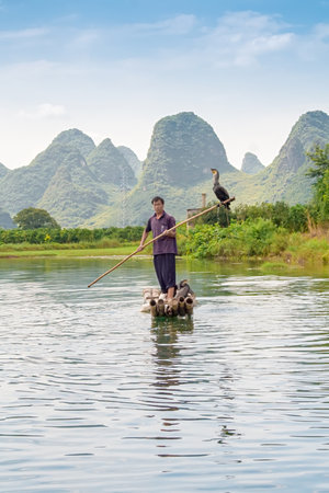 Yangshuo, China - July 14, 2010: Traditional cormorant fisherman works on the Li River Yangshuo, China. Cormorant fishing is a traditional way of life on the Li River in the past.のeditorial素材