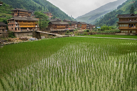 Paddy fields and Traditional Wooden houses Village of Red Yao tribe.の写真素材