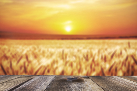 Wood board table in front of field of wheat on sunset light.の写真素材