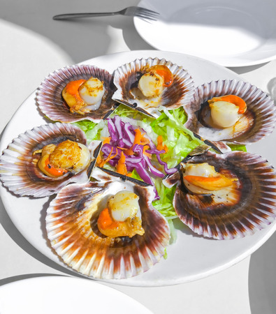 Grilled Galician Scallops with salad on whiteの写真素材