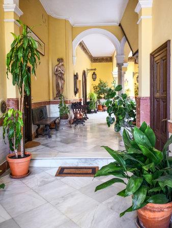 Sevilla, Spain - April 13, 2019: Traditional courtyard in a Manor Sevillian house at the famous neighborhood of Holy Cross (Barrio de Santa Cruz), Seville, Andalusia, Spain.のeditorial素材