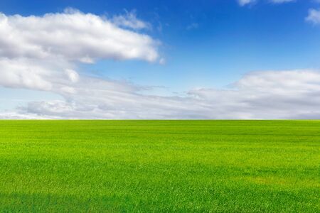 Beautiful green field and bright blue sky with light cloudsの写真素材