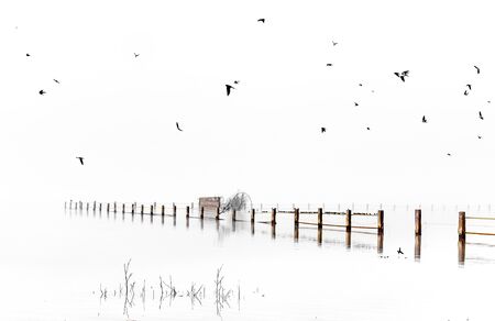 High Key Foggy landscape in Marshes of DoÃ±ana National Park.の写真素材