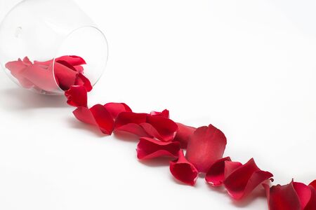 Romantic  with red rose petals in wine glass on whiteの写真素材