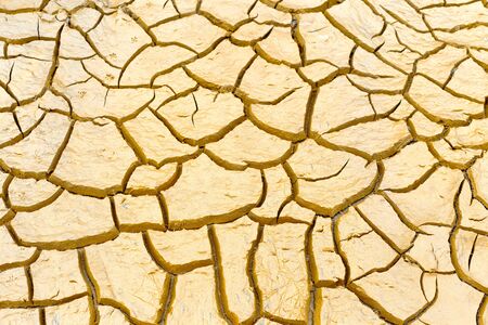 Dried and Cracked earth texture
