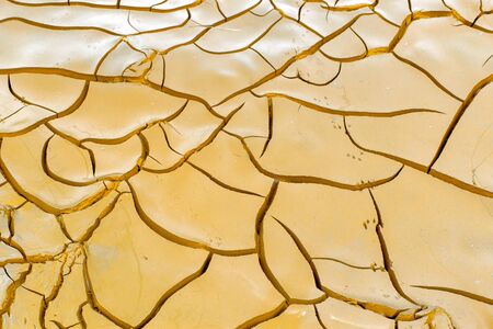 Dried and Cracked earth textureの写真素材
