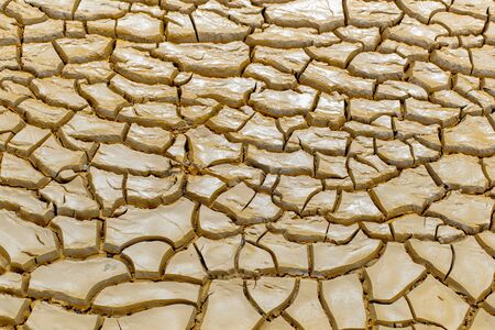 Dried and Cracked earth textureの写真素材