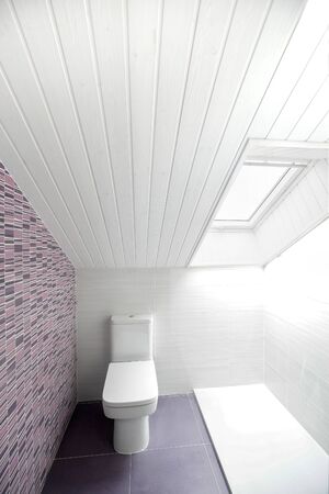Small and Modern Bathroom with shower and toilet in attic.の写真素材