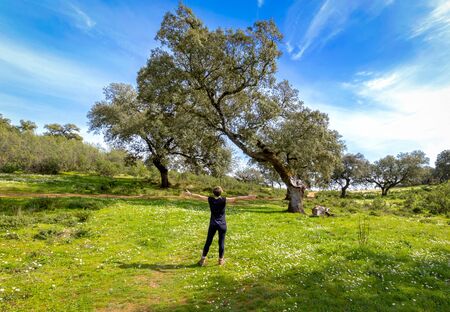 Young woman with her arms wide spread is enjoying in the sunny spring day, rear view. Freedom concept background.の写真素材
