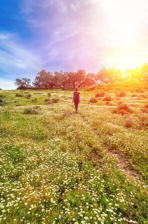 Traveling woman with backpack  walking in flowery field. Blue sky and Sunny spring day, rear view. Freedom concept background.の写真素材
