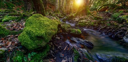 Beautiful scene in the forest at sunrise . Mountain river flowing through the green forest.の写真素材