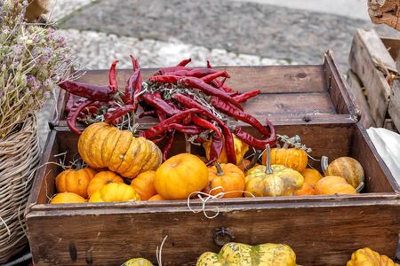 Beautiful and different varieties of squashes and pumpkins on rustic wooden box. Autumn rustic scene. Selective focus. Closeup.の写真素材