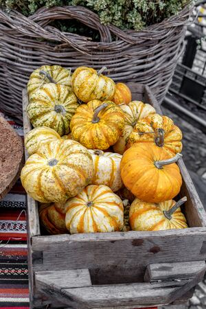 Beautiful squashes and pumpkins on rustic wooden box. Autumn rustic scene. Selective focus. Closeup.の写真素材