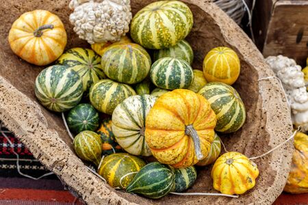 Beautiful and different varieties of squashes and pumpkins on rustic cork basket. Autumn rustic scene. Selective focus. Closeup.の写真素材