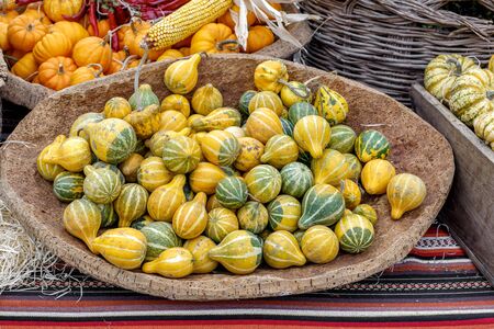 Beautiful and different varieties of squashes and pumpkins on rustic cork basket. Autumn rustic scene. Selective focus. Closeup.の写真素材