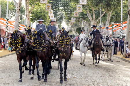 Seville, Spain - May 09, 2019 : Horse drawn carriages exhibition at the April Fair (Feria de Abril), Seville Fair (Feria de Sevilla), Andalusia, Spainのeditorial素材