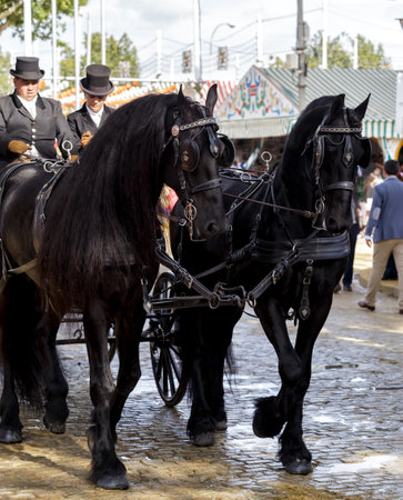 Seville, Spain - May 09, 2019 : Horse drawn carriages exhibition at the April Fair (Feria de Abril), Seville Fair (Feria de Sevilla), Andalusia, Spainのeditorial素材