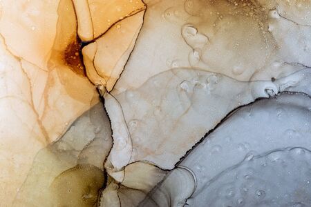 Planetary surface abstract texture background. Alcohol Ink Artwork. Modern contemporary art. Hand painted alcohol ink texture.の写真素材