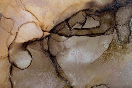 Antelope abstract texture background. Alcohol Ink Artwork. Modern contemporary art. Hand painted alcohol ink textureの写真素材
