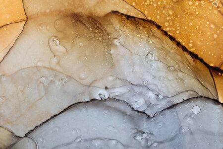 Planetary surface abstract texture background. Alcohol Ink Artwork. Modern contemporary art. Hand painted alcohol ink textureの写真素材