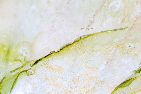 Green abstract background. Modern art. Natural pattern, luxury. Abstract artwork, trendy style.の写真素材