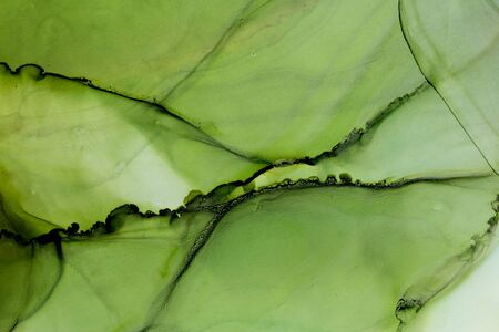 Natural Green leaf alcohol ink abstract background. Fresh ethereal painting. Hand painted ink texture. Modern art.の写真素材