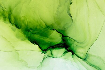 Fresh Green alcohol ink abstract background. Colorful ethereal painting. Hand painted ink texture. Modern art.の写真素材