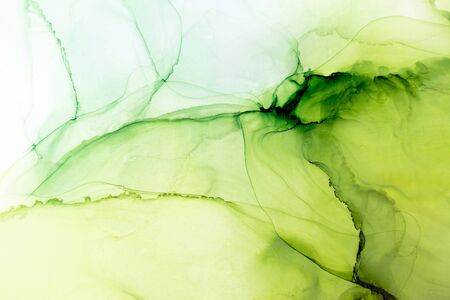 Fresh Lime ethereal painting. Vibrant Green alcohol ink abstract background. Hand painted ink texture. Modern art.の写真素材