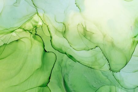 Green alcohol ink abstract background. Hand painted ink texture. Modern art.の写真素材