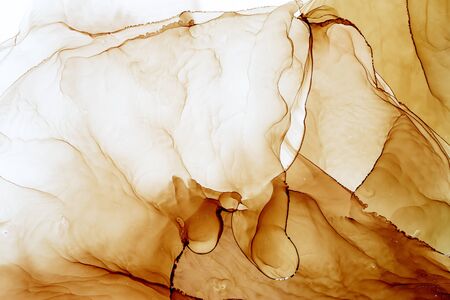 Alcohol Ink Smears on Aluminium. Oriental Ink Painting. Beautiful brown Tones Texture. Shimmering Modern Art. Colorful Artwork. Watercolor Background Texture.の写真素材