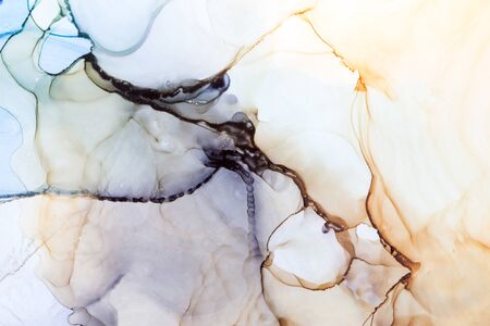 Marble texture. Alcohol ink Abstract background. Modern art. Abstract artwork. Trendy colorful wallpaper.の写真素材