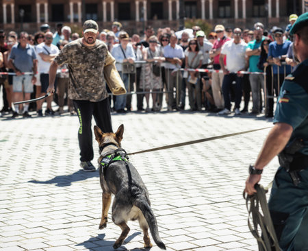 Seville, Spain - May 30, 2019: Civil guard with trained dog during display of Spanish Armed Forces Day in Seville, Spain.のeditorial素材