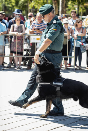 Seville, Spain - May 30, 2019: Civil guard with trained dog during display of Spanish Armed Forces Day in Seville, Spain.のeditorial素材