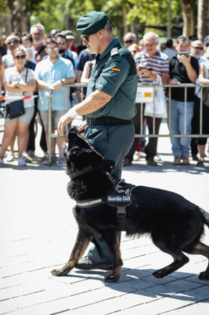Seville, Spain - May 30, 2019: Civil guard with trained dog during display of Spanish Armed Forces Day in Seville, Spain.のeditorial素材