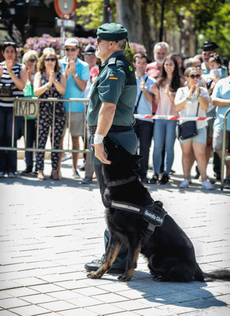 Seville, Spain - May 30, 2019: Civil guard with trained dog during display of Spanish Armed Forces Day in Seville, Spain.のeditorial素材