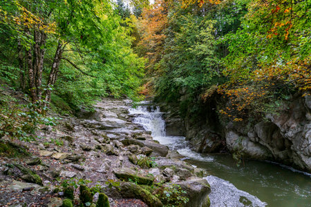 Amazing Autumn forest scenery. Irati forest in Navarra. Spain