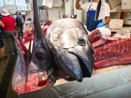 Cadiz, Spain - August 03, 2023: Cadiz Fish Market. Stunning Fresh fish stall in The Central Market of CÃ¡diz, Andalusia, Spain. It is the oldest covered market in Spain and where the Atlantic Ocean offers the freshest fish and seafood in Spain with piles のeditorial素材