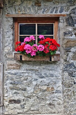 Wall of an old farm house made of field stones with window and bright red flowers