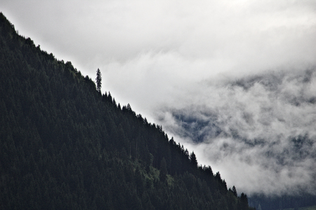 Steep wooded mountain ridge in the Austrian Alps silhouetted against mist and clouds with one protruding large pine treeの写真素材