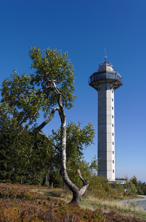 Willingen, Germany - September 18th, 2018 - Crooked birch tree next to the Hochheide tower on the summit of Mount Ettelsberg in the Sauerland regionのeditorial素材