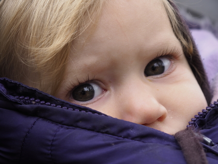 Blond caucasian baby girl with gray eyes in winter jacket looking at cameraの写真素材