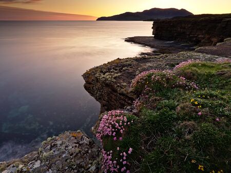 Sunset at Muckross Head, Co. Donegal with rocky shoreline dotted with small pink flowers in the foreground (long exposure)の写真素材