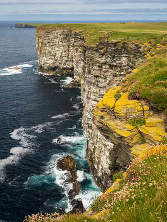 Rocky vertical cliff at Marwick Head RSPB reserve, Mainland, Orkney, Scotland with green grass and white and blue surf belowの写真素材