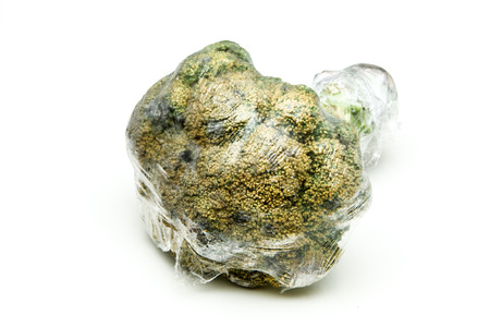 A picture of a rotten broccoli packed in the plastic foil. The foil is useless, it only damages the vegetable and it only goes mouldy. Isolated on a white background.の写真素材